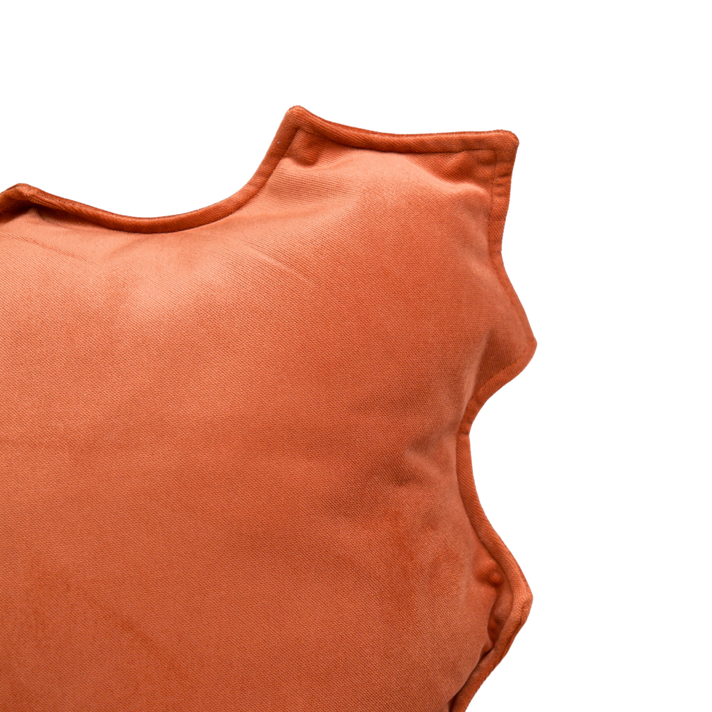 Sunshine Cushion (50*50)